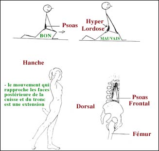 Douleur à l'aine » AMSF